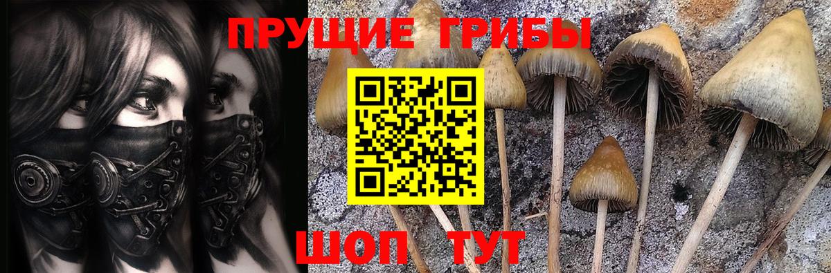 Апрелевка  Галлюциногенные грибы мицелий  Вход с VPN 